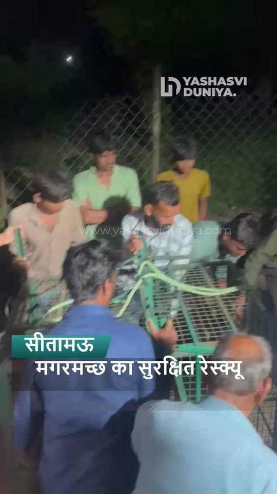 मऊखेड़ा में आधी रात रहवासी इलाके में दिखा मगरमच्छ 🐊, मचा हड़कंप। सूचना पर वन विभाग की रेस्क्यू टीम ने मौके पर पहुंचकर सुरक्षित रेस्क्यू किया। बाद में मगरमच्छ को बसई स्थित चंबल नदी में सुरक्षित छोड़ दिया गया।
#मंदसौर #सीतामऊ #मऊखेड़ा #CrocodileRescue #YashasviDuniya
