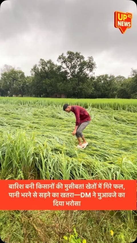 🌧️ बारिश ने बढ़ाई किसानों की चिंता! 🌾
खेतों में तैयार फसल के फल गिरकर जमीन पर आ गए हैं। ऊपर से खेतों में पानी भरने के कारण फसल के सड़ने का खतरा बढ़ गया है। ऐसे में किसानों को भारी आर्थिक नुकसान की आशंका है।
📍 अम्बेडकरनगर की जिलाधिकारी ईशा प्रिया ने कहा है कि प्रभावित किसानों और खेतों का अवलोकन कराया जा रहा है। नुकसान का आकलन करने के बाद किसानों को नियमानुसार उचित मुआवजा दिलाने की कार्रवाई की जाएगी।
अब किसानों की नजर प्रशासन के सर्वे और राहत पर है।
#AmbedkarNagar #अम्बेडकरनगर #ईशाप्रिया #IshaPriya #किसान किसानोंकीसमस्या फसलनुकसान बारिश