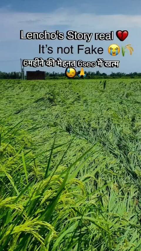 Please 🙏 share ❣️✨
.
.#uttarpradesh#unnao #havyrain .#rainydays☔️