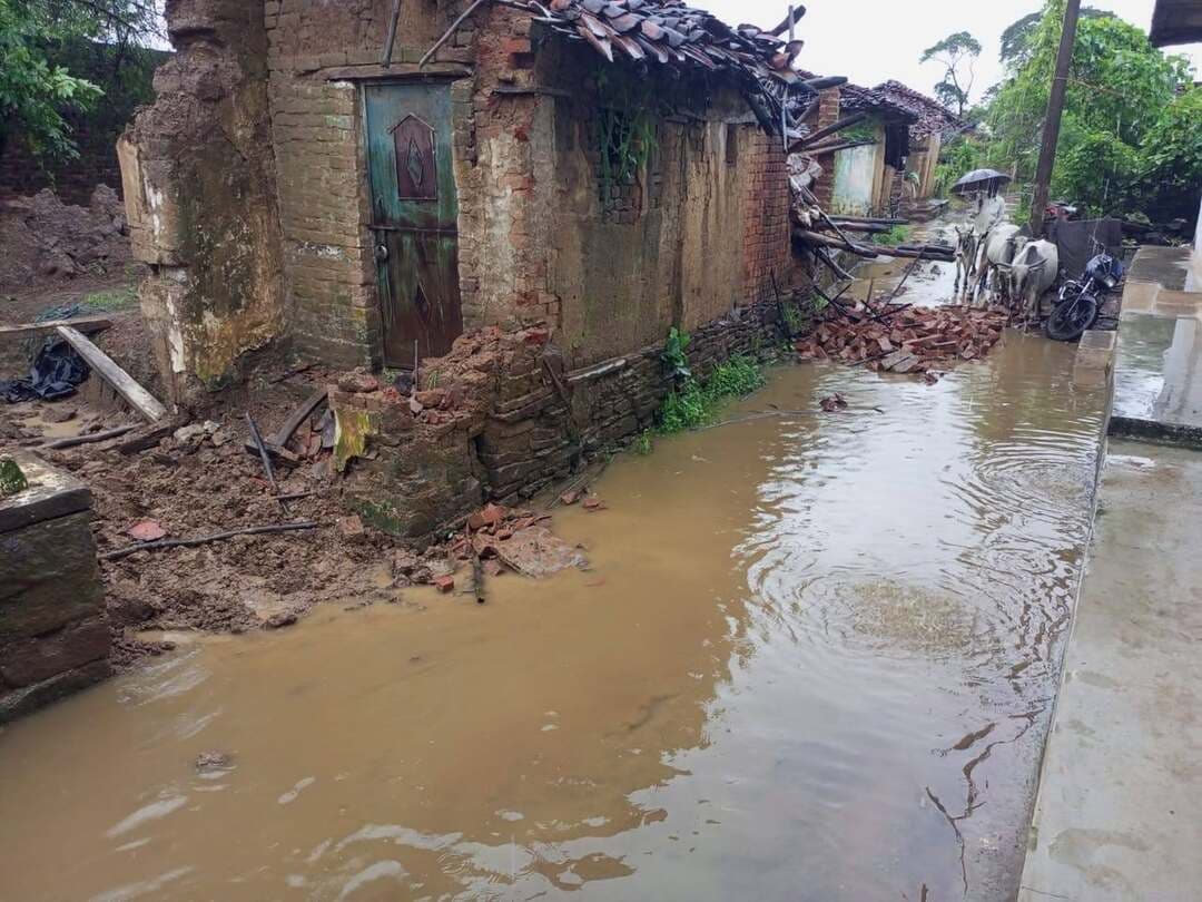 लगातार बारिश से मनकौरा में तबाही, आधा दर्जन मकान धराशायी; गौशालाएं गिरीं तो बेघर हुआ गौवंश
रैपुरा। पिछले दो दिनों से लगातार हो रही बारिश ने रैपुरा तहसील क्षेत्र के ग्राम मनकौरा में जनजीवन को प्रभावित कर दिया है। बारिश के चलते गांव में करीब आधा दर्जन कच्चे मकानों के गिरने की जानकारी सामने आई है। मकानों के धराशायी होने से प्रभावित परिवारों को आर्थिक नुकसान के साथ-साथ रहने और गृहस्थी का सामान सुरक्षित रखने की समस्या का सामना करना पड़ रहा है।
बारिश का असर घरों तक ही सीमित नहीं रहा। कई स्थानों पर गौशालाएं भी गिर गईं, जिसके चलते कई गौवंश खुले में आ गए हैं। लगातार बारिश के बीच पशुओं को सुरक्षित और सूखा आश्रय उपलब्ध कराना ग्रामीणों के लिए बड़ी चुनौती बना हुआ है।
ग्रामीणों के मुताबिक, कई घरों में रखा गृहस्थी का सामान, कृषि यंत्र, चारा और भूसा भी बारिश की चपेट में आने से खराब हुआ है। प्रभावित ग्रामीणों ने प्रशासन से नुकसान का सर्वे कराकर नियमानुसार आर्थिक सहायता, आवास और गौवंश के लिए सुरक्षित व्यवस्था उपलब्ध कराने की मांग की है।
तस्वीरों में देखिए मनकौरा में बारिश से हुए नुकसान का मंजर।
#रैपुरा #मनकौरा #पन्ना #बारिश_का_कहर #गौवंश