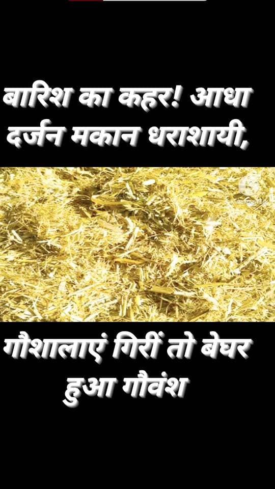 दो दिन की मूसलाधार बारिश ने मचाई तबाही, आधा दर्जन घर गिरे… गौवंश भी हुआ बेघर
#रैपुरा #मनकौरा #पन्ना #बारिश #बारिश_का_कहर #मकान_धराशायी #गौवंश #प्राकृतिक_आपदा #ग्रामीण_इलाका #राहत_एवं_बचाव #मध्यप्रदेश #PannaNews #RaipuraNews #BreakingNews #GajendraSinghRathore