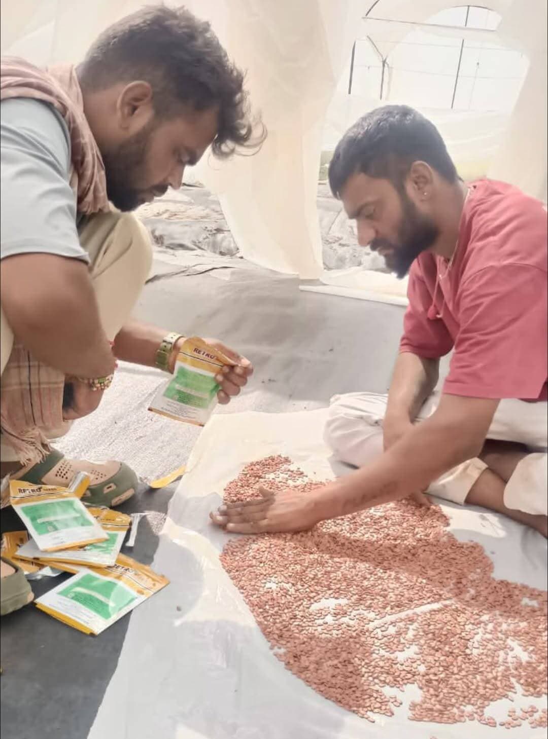 तरबूज की 111 वेरायटी