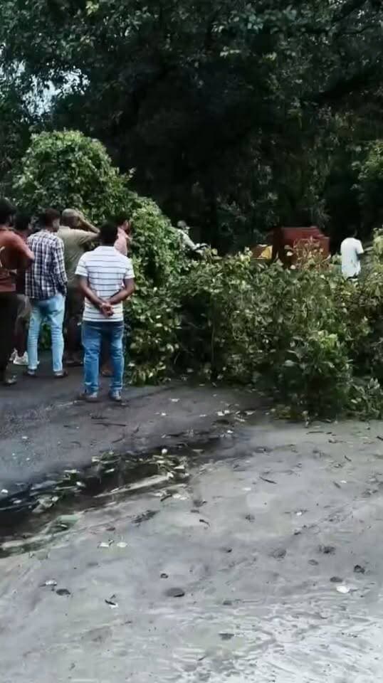गोंडा-अयोध्या रोड पर पेड़ गिरने से फैज़ाबाद रोड पर लम्बा जाम