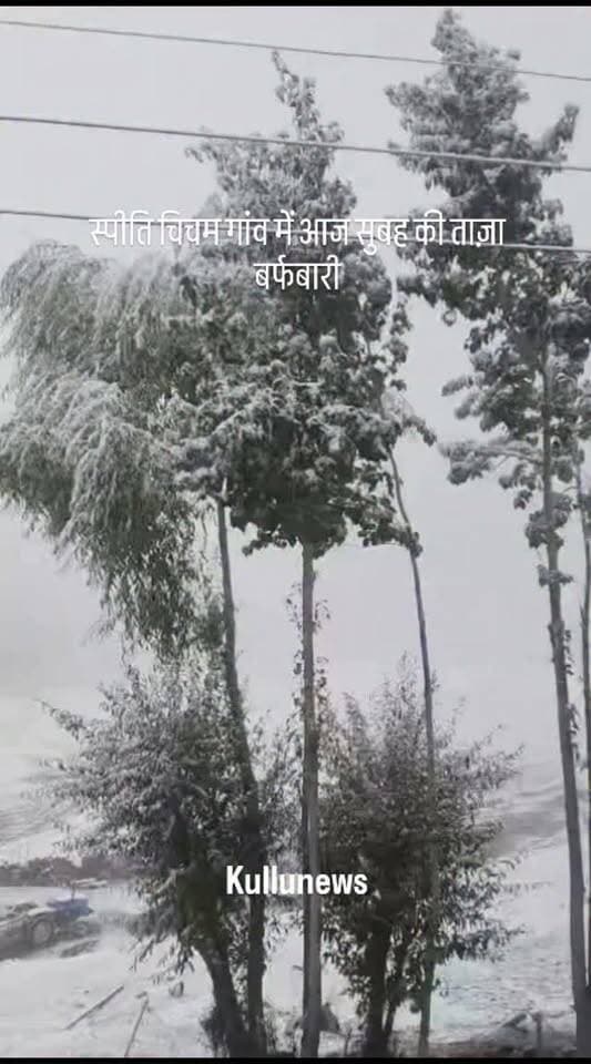 स्पीति चिचम गांव में आज सुबह की ताज़ा बर्फबारी
.
.
#manalinews #manaliwassi #manaliupdate #kullumanlinews #manalı
