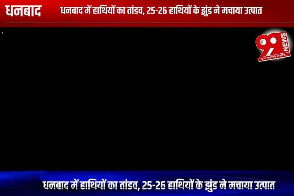 धनबाद में हाथियों का तांडव, 25-26 हाथियों के झुंड ने मचाया उत्पात
#dhanbad #dhanbadnews #jharkhand #jharkhandnews #elephantherd #elephants #elephantattack