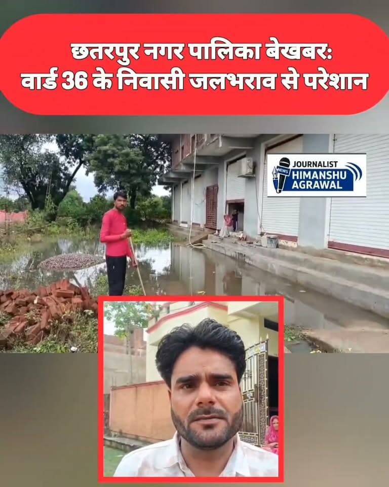 सागर रोड वार्ड नंबर 36 के रहवासियों ने बताया कि नलियां नहीं होने से पानी घरो में पहुंच रहा
छतरपुर सागर रोड वार्ड नंबर 36 में नालियां ना होने से पानी नहीं निकल पा रहा रास्ता बहुत खराब है कॉलोनी वासियों ने बताया कि सबसे ज्यादा समस्या होती है बच्चों की स्कूल बस भी नहीं आती नगर पालिका में आवेदन आवेदन देने के बाद भी आज तक कोई सुनाई नहीं हुई !