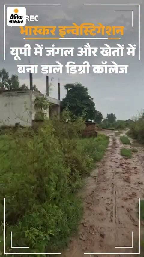 *भास्कर इंवेस्टिगेशन, यूपी में जंगल और खेतों में बना डाले डिग्री कॉलेज:* पहुंचने का रास्ता तक नहीं, केवल एग्जाम देने आते बच्चे, कराई जाती नकल