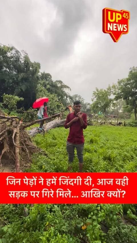 🌳 जिन पेड़ों ने हमें जिंदगी दी, आज वही सड़क पर गिरे मिले… आखिर क्यों?
अंबेडकरनगर में खराब मौसम और तेज हवाओं के चलते अलग-अलग इलाकों में कई साल पुराने पेड़ गिर गए। लेकिन सवाल सिर्फ मौसम का नहीं है—क्या इन पेड़ों के संरक्षण, निगरानी और समय-समय पर जरूरी छंटाई पर पर्याप्त ध्यान दिया गया?
एक पेड़ तैयार होने में सालों लगते हैं, लेकिन गिरने में कुछ पल।
आज जरूरत सिर्फ नए पौधे लगाने की नहीं, बल्कि जो पेड़ पहले से हमारे बीच हैं, उन्हें बचाने की भी है। 🌱
📍 अंबेडकरनगर, उत्तर प्रदेश
🎥 UP45 News
#AmbedkarNagar #AmbedkarNagarNews #UP45News #UttarPradesh #SaveTrees