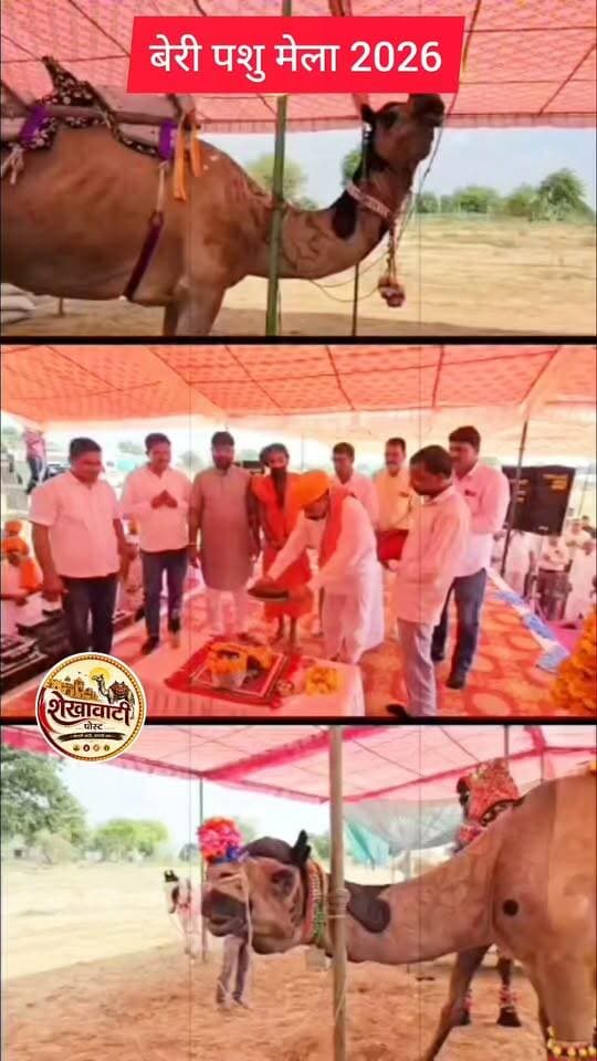 बेरी पशु मेला 2026