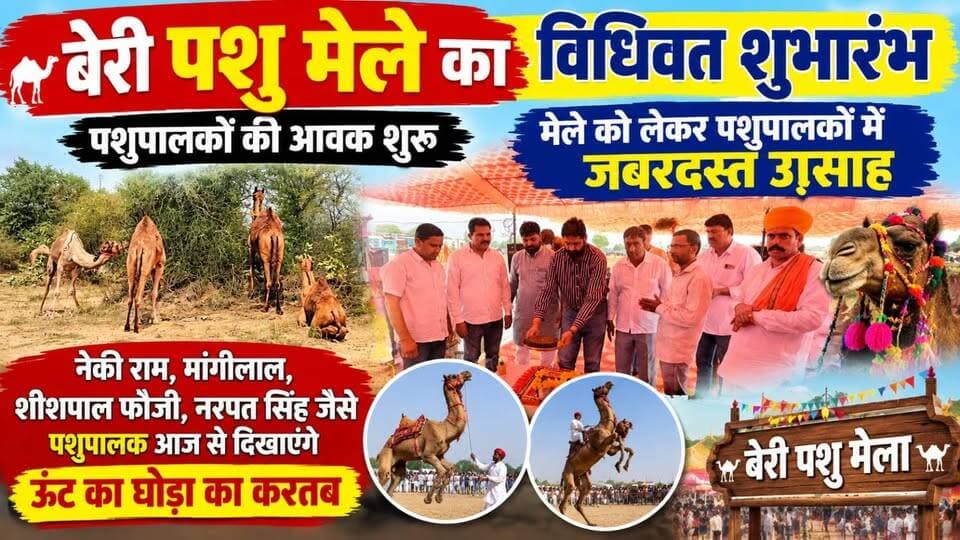 #बेरी पशु मेले का आगाज, पशुपालकों की धमाकेदार एंट्री; आज से दिखेंगे ऊंट-घोड़ों के हैरतअंगेज करतब
#ShekhawatiPost #Sikar #Beri