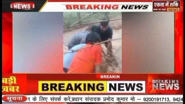 मऊगंज में कीचड़ में फंसी गाय की जान बचाने दलदल में उतरे पूर्व विधायक बन्ना, रेस्क्यू का वीडियो वायरल