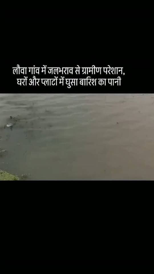 लौवा गांव में जलभराव से ग्रामीण परेशान, घरों और प्लाटों में घुसा बारिश का पानी