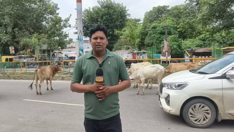 मऊ की सड़कों में आवारा पशुओं का आतंक, लोग बोले, सड़क पर निकलते ही सताता है मौत का डर
https://hindi.news18.com/news/uttar-pradesh/mau-public-opinion-on-stray-cattle-road-accidents-local-people-demand-action-local18-10867705.html?utm_source=copy_share&utm_medium=clipboard&utm_campaign=clipnshare