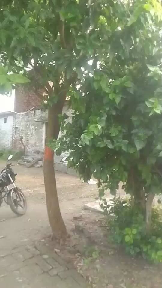 बेलघाट के बघाड़ में गुरुवार की रात में हुई चोरी