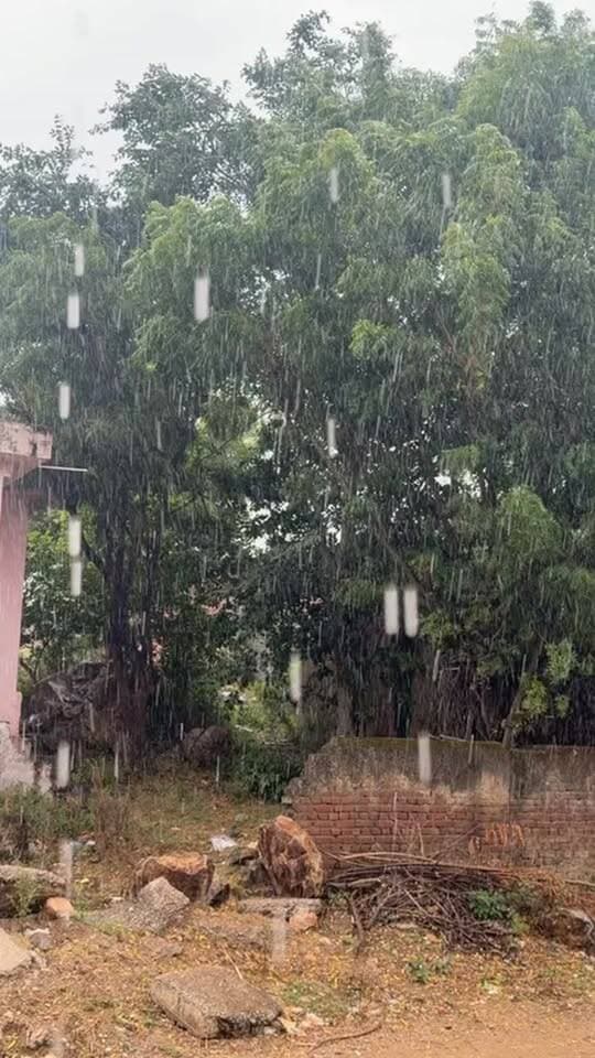 बारिश