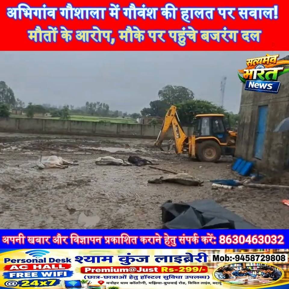 अभिगांव गौशाला में गौवंश की हालत पर सवाल! मौतों के आरोप, मौके पर पहुंचे बजरंग दल #Budaun #Abhigaon #Gaushala #CowCare #SatyamevBharatNews सत्यमेव भारत न्यूज Vikendra Sharma Er Rana Pratap Singh Tejan Rastogi
