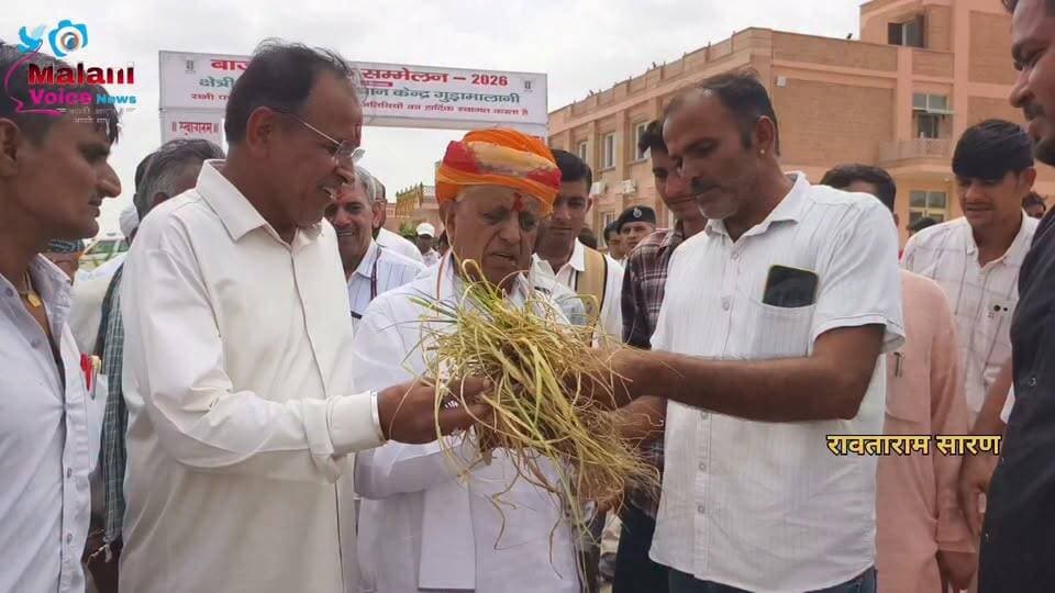 केंद्रीय कृषि राज्य मंत्री के सामने छलका किसान का दर्द, देवाराम सियाग बोले- 10 साल में ऐसा अकाल नहीं देखा, पशुओं के चारे तक का संकट
Bhagirath Choudhary