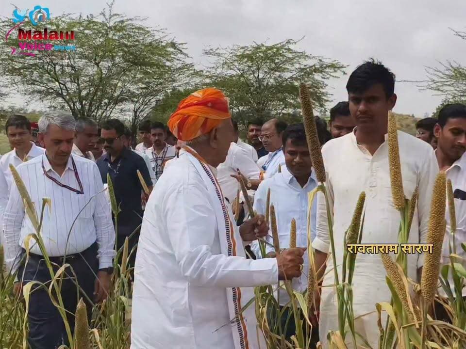 बाजरे की बालियां देख भड़के केंद्रीय कृषि राज्य मंत्री, बोले- इसमें किसान क्या खाएगा Bhagirath Choudhary