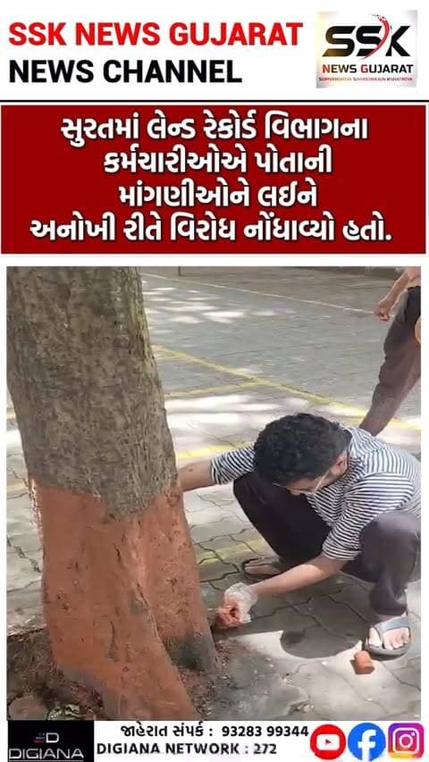 સુરતમાં લેન્ડ રેકોર્ડ કર્મચારીઓનો અનોખો વિરોધ, હડતાળ દરમિયાન સફાઈ અભિયાન કરી ગ્રેડ-પેની માંગ ઉઠાવી
સુરતમાં લેન્ડ રેકોર્ડ વિભાગના કર્મચારીઓએ પોતાની માંગણીઓને લઈને અનોખી રીતે વિરોધ નોંધાવ્યો હતો. હડતાળના સમયગાળા દરમિયાન કર્મચારીઓએ વિરોધના બદલે સ્વચ્છતા અભિયાન જેવી રચનાત્મક કામગીરી હાથ ધરી સરકારનું ધ્યાન પોતાની ગ્રેડ-પેની માંગ તરફ દોરવાનો પ્રયાસ કર્યો હતો..
.
.
.
.
.
.
.
.
#landrecord #officer #virodh #protest #cleaning #bahumadi #surat #ssknews