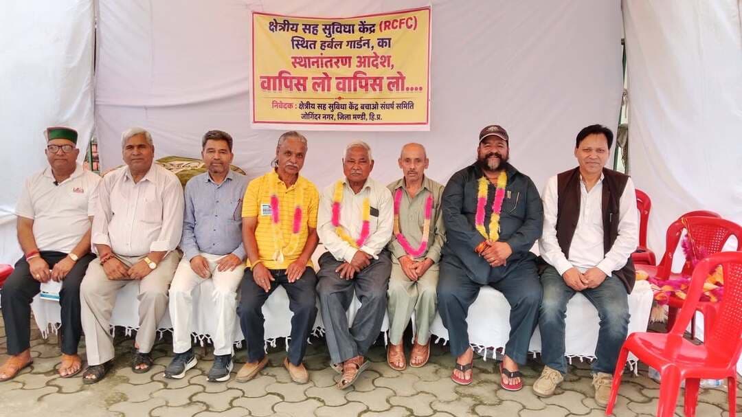 जोगिंदर नगर को आने वाले समय में जड़ी बूटी हब बनाया जाएगा : गुरु शरण परमार
जोगिंदर नगर/सुनील कुमार।
क्षेत्रीय सह सुविधा केंद्र जोगिंदर नगर जो कि हर्बल गार्डन में स्थित एक ऐसा संस्थान है जो कि आयुर्वेदिक औषधियों को बनाने के लिए उपयोग में आने वाली करीब 170 किस्म की जड़ी बूटीयों को उगाने के लिए प्रेरित करता है l यह संस्थान जो जोगिंदर नगर में स्थित है यह जोगिंदर नगर सहित पूरे हिमाचल और पंजाब, हरियाणा, दिल्ली, चंडीगढ़, उत्तर प्रदेश और उत्तराखंड जैसे सात राज्यों को यहाँ से जड़ी बूटी उगाने का प्रशिक्षण, प्रयोगशाला से पास किये हुए उन्नत किस्म के बीज व नर्सरी उपलब्ध करवाए जाते हैं l जिन जड़ी बूटीयों के उगाने में सरकार सब्सिडी देने की योजना बनाती है वह भी किसानों को इसी संस्थान के माध्यम से पहुंचाई जाती है l यह जानकारी देते हुए RCFC बचाओ संघर्ष समिति के अध्यक्ष गुरु शरण परमार ने बताया कि जल्दी ही सारा मसला होने की उम्मीद है और यह संस्थान फिर से केंद्रीय ग्राँट पाकर कार्य करना शुरू कर देगा और किसानों को मिलने वाली हर तरह की सुविधा जो कि फिलहाल स्थगित चली हुई थी फिर से सुचारु हो जाएंगी l इस बीच क्रमिक अनशन के 39वें दिन पूर्व सैनिक नारायण सिंह थापा, पूर्व प्रदेशाध्यक्ष पुलिस एसोसिएशन हिमाचल ज्ञान चंद ठाकुर, ट्रांसपोर्टर इंदर सिंह ठाकुर और युवा दिनेश कुमार भूख हड़ताल पर बैठे l इस मौके पर डॉ. भाग चंद, कुशाल भारद्वाज, ब्रिज गोपाल अवस्थी, दिनेश धरवाल, सोहन लाल शर्मा, अजय ठाकुर, कपिल सूद, दमनदीप, सुमेन्द्र ठाकुर, मेघना ठाकुर, संजीव वालिया, शांति स्वरूप शर्मा, रमन बहल, कर्म चंद आदि मौजूद रहे l