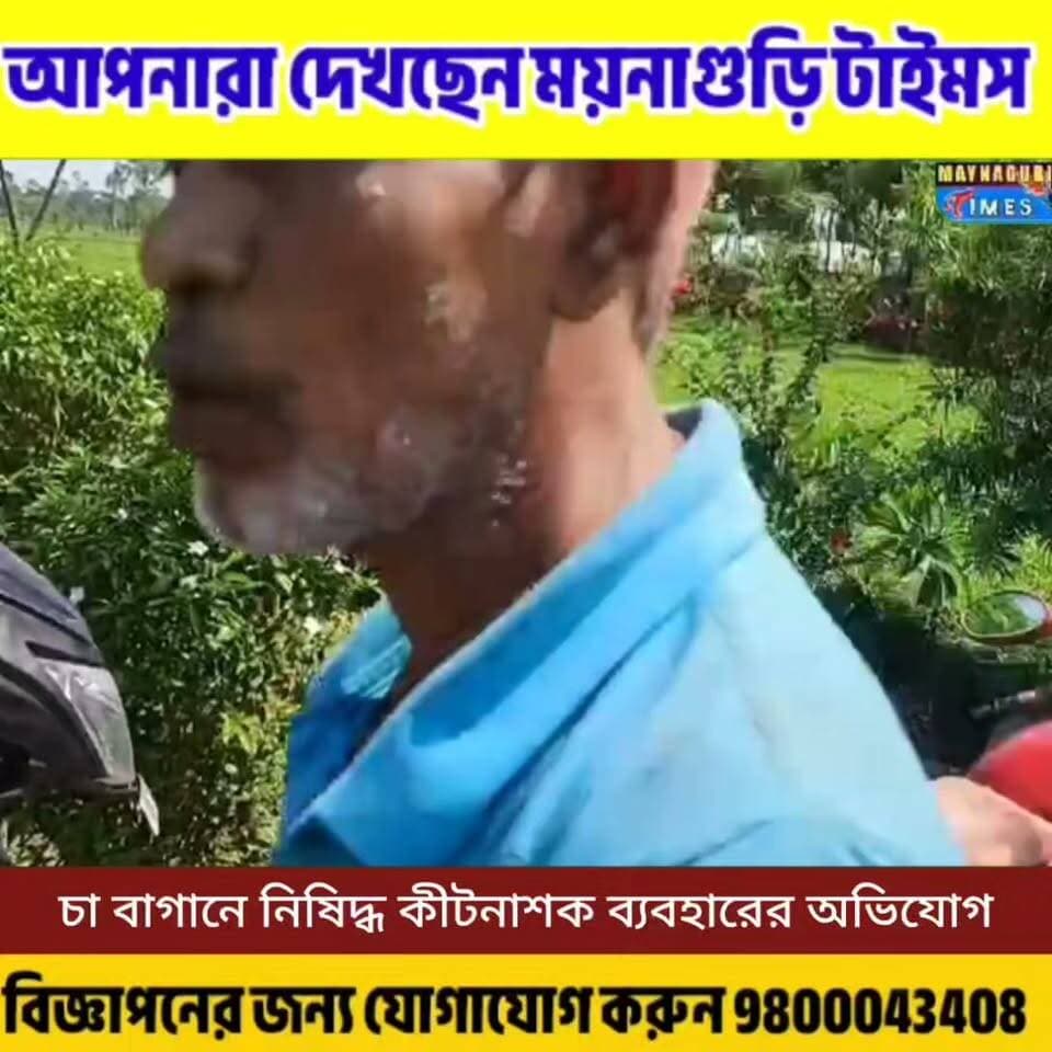 #বৌলবাড়ি চা বাগানে নি'ষি'দ্ধ কীটনাশক প্রয়োগের অভিযোগ