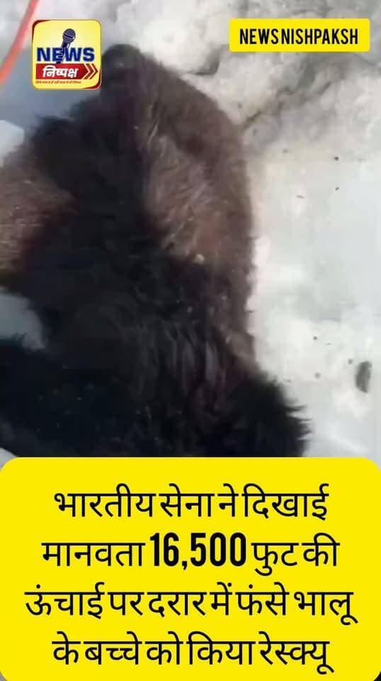 16500 फुट की ऊंचाई, कड़ाके की ठंड के बावजूद सीमा की सुरक्षा पर तैनात सेना के जवानों ने ग्लेशियर की दरार में फंसे भालू के बच्चे को बचाया, जबकि आसपास बच्चे की मां भी मौजूद थी जो कभी भी खतरा बन सकती थी... जय हिंद