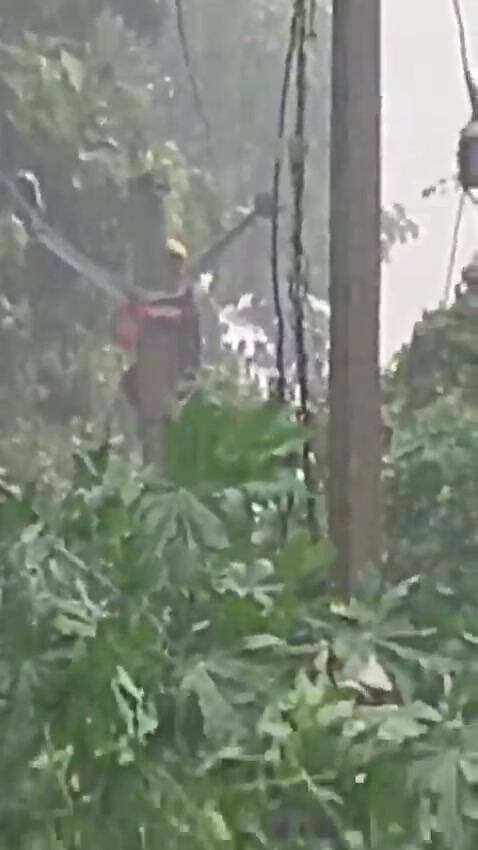 बिजली कर्मचारी लगातार अपने कार्य में लगे हुए हैं