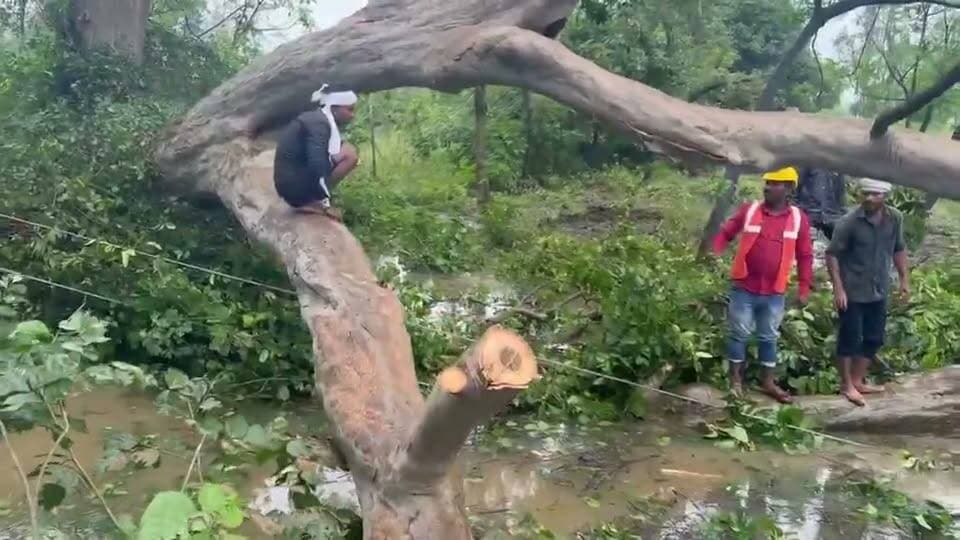 बिजली विभाग के अधिकारी कर्मचारी लगातार काम पर लगे हुए हैं। बिजली व्यवस्था बहाल करने को प्रयासरत हैं