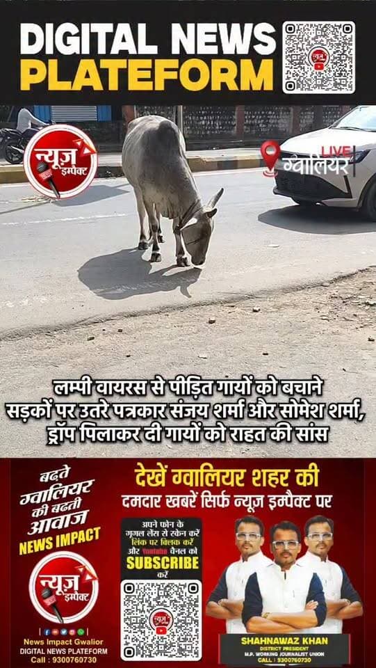 पत्रकार संजय शर्मा और शोमेश शर्मा ने दी मिसाल
लम्पी वायरस से जूझ रही गायों को बचाने के लिये उन्हें ड्राप पिलाई
देखें वीडियो, इसे देखकर शहर के नागरिक भी हों जागरूक, जहां भी पीड़ित गाय दिखें उन्हें आपकी जरूरत है।
#newsimpact #gwaliornews #lampivayras
