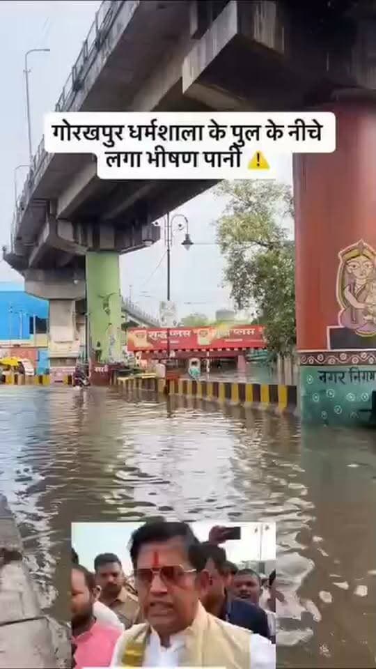 #गोरखपुर #बारिश #विकासकार्य #जलभराव #सड़क #नगरनिगम #गोरखपुरन्यूज़ #उत्तरप्रदेश #बारिशकहर #विकासकीपोल #जलजमाव #लोकलन्यूज़ #यूपी_न्यूज़ #GroundReport #GorakhpurNews #Gorakhpur #Rain #Waterlogging #DevelopmentWork #UPNews