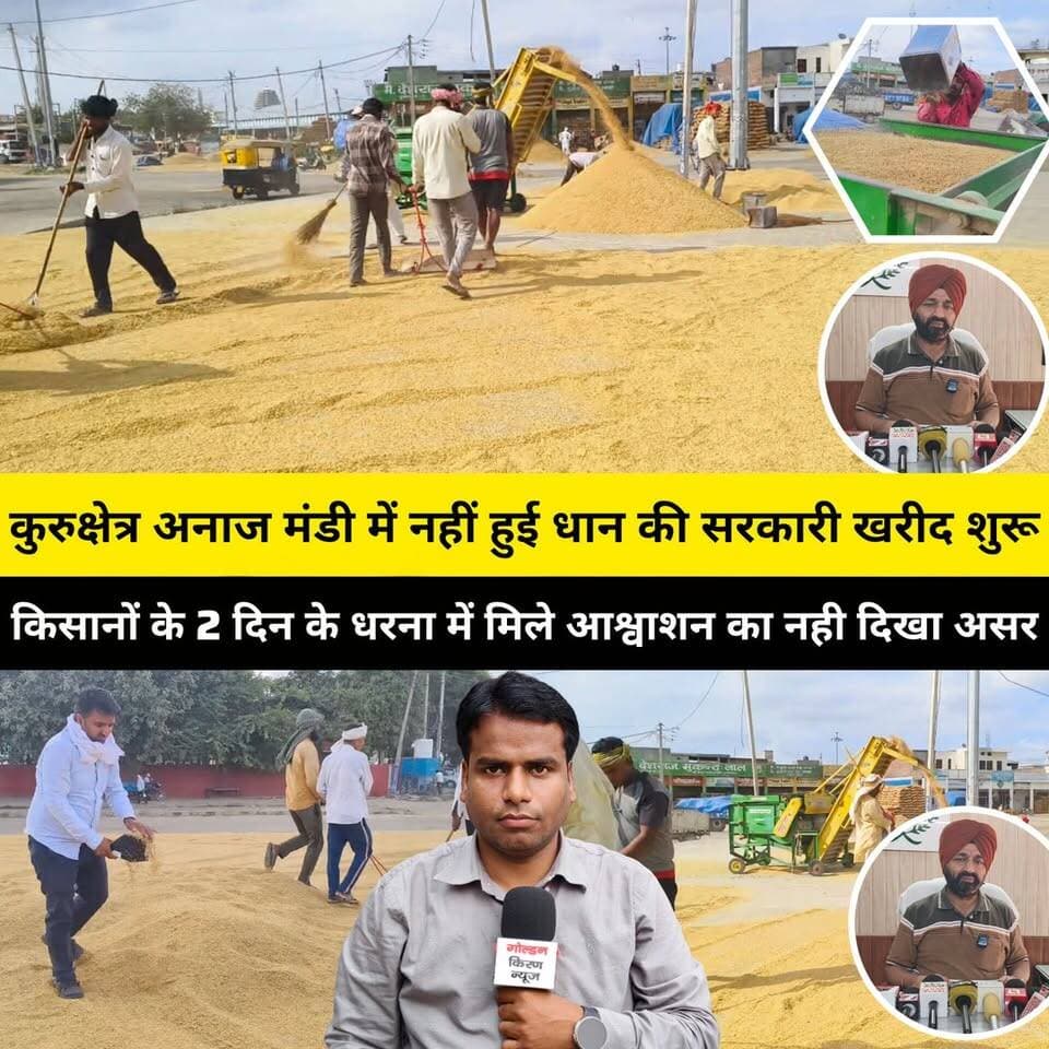 कुरुक्षेत्र अनाज मंडी में नहीं हुई धान की सरकारी खरीद शुरू,किसानों के 2 दिन के धरना में मिले आश्वाशन का नही दिखा असर,24000 किवंटल से ज्यादा मंडी में पहुची धान