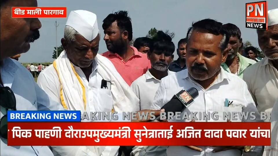 बीड जिल्ह्यातील माजलगाव तालुक्यातील माली पारगाव शिवारात कापूस सोयाबीन पिके करपली; प्रचंड नुकसान शेतकरी हवालदिल...
शेतकरी काय सांगतात नक्की पहा..