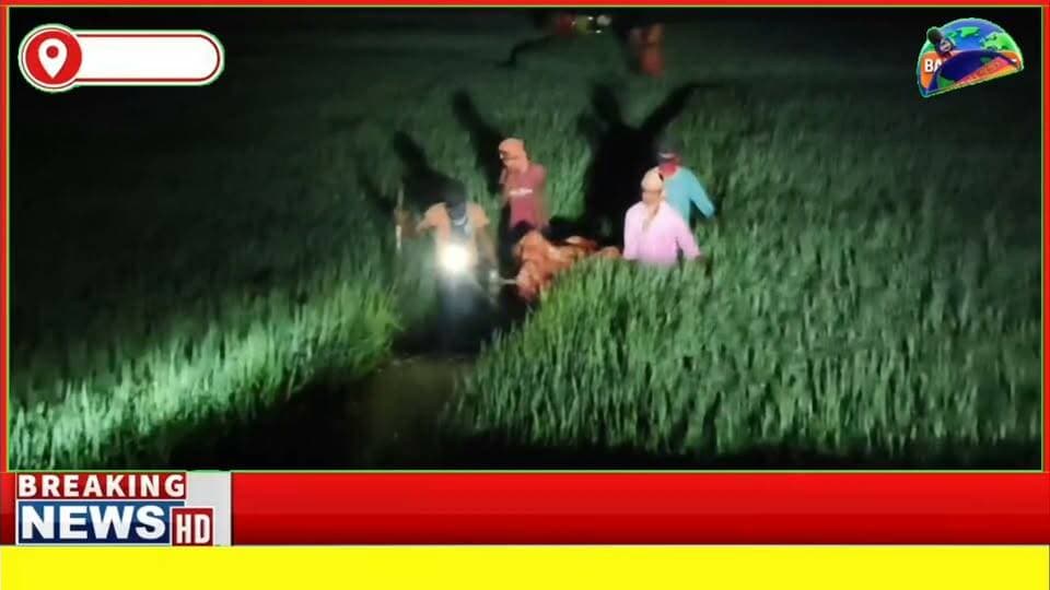 #बांका में चार दिन से लापता मछुआरे का खेत में मिला शव, इलाके में मचा हड़कंप, जांच में जुटी पुलिस
#videosvirales #BiharNews #facebookreelsviral