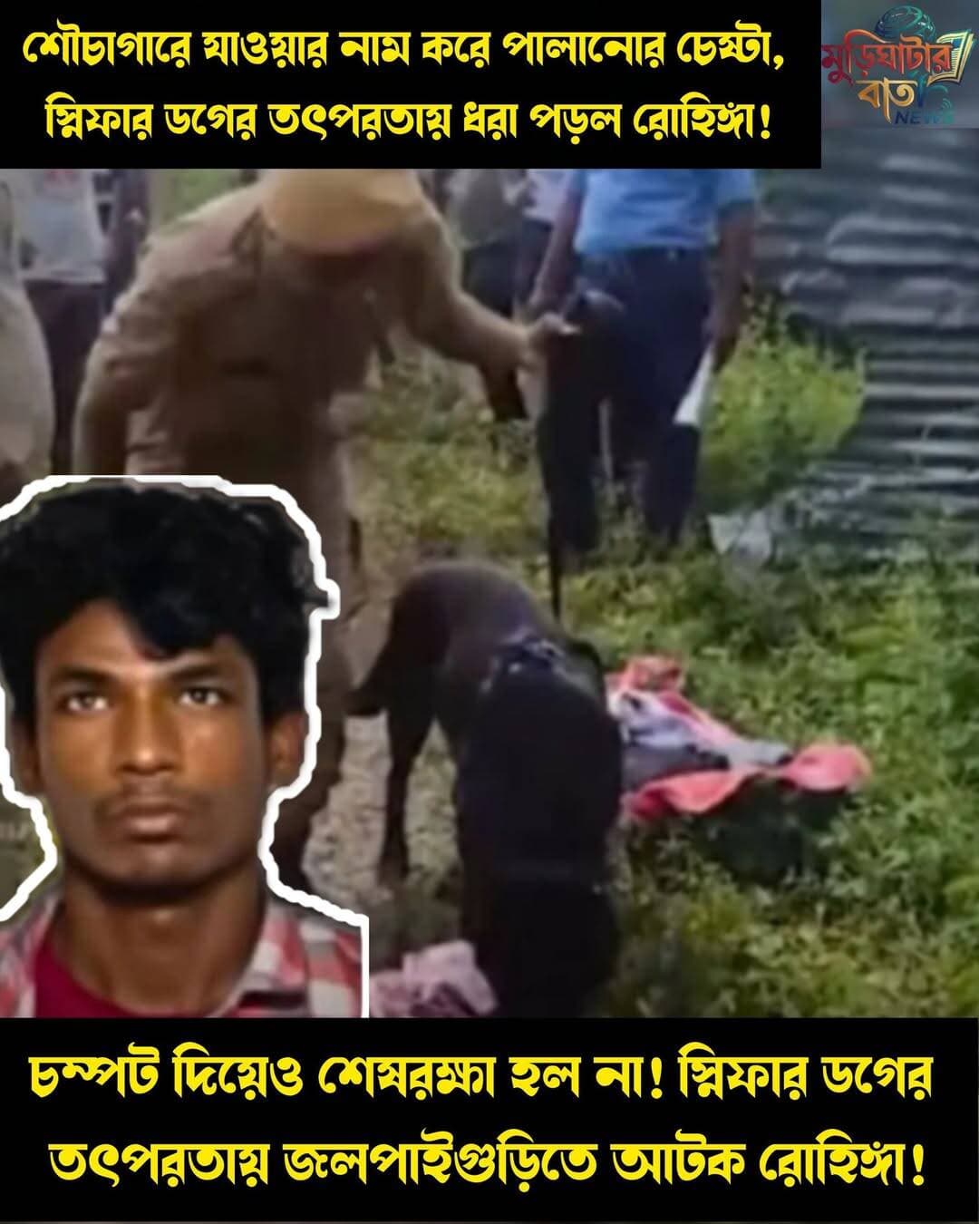 শৌচাগারে যাওয়ার নাম করে পালানোর চেষ্টা, স্নিফার ডগের তৎপরতায় ধরা পড়ল রোহিঙ্গা! চম্পট দিয়েও শেষরক্ষা হল না! স্নিফার ডগের তৎপরতায় জলপাইগুড়িতে আটক রোহিঙ্গা!
