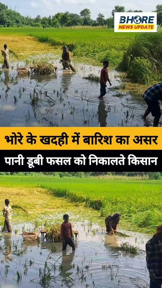भोरे में बारिश का असर #reels #viral #trending