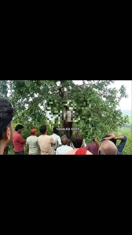 तीन दिन से लापता किसान का जंगल में पेड़ से लटका मिला शव क्षेत्र में फैली सनसनी
दमोह/पटेरा। पटेरा थाना क्षेत्र के हरपालपुर के बरखेड़ा थोवन गांव के जंगल में रविवार सुबह तीन दिन से लापता किसान का शव पेड़ से लटका मिला। ग्रामीणों की सूचना पर पहुंची पुलिस ने शव को कब्जे में लेकर पंचनामा कार्रवाई के बाद पोस्टमार्टम के लिए भेजा।
पुलिस के अनुसार हरपालपुर निवासी 45 वर्षीय राजेश पिता नारायण कुर्मी पिछले तीन दिनों से घर से लापता था। परिजन और परिचित उसकी तलाश कर रहे थे। इस संबंध में पटेरा थाने में गुमशुदगी भी दर्ज कराई गई थी। रविवार सुबह करीब 11 बजे जंगल गए ग्रामीणों ने राजेश का शव पेड़ से लटका देखा और पुलिस को सूचना दी।
घटना की जानकारी मिलते ही परिवार में मातम पसर गया। मृतक के दो बेटे और एक शादीशुदा बेटी है। परिजनों ने फिलहाल किसी पर संदेह नहीं जताया है। पुलिस ने मर्ग कायम कर जांच शुरू कर दी है। मौत की वास्तविक वजह पोस्टमार्टम रिपोर्ट और जांच के बाद स्पष्ट होगी।