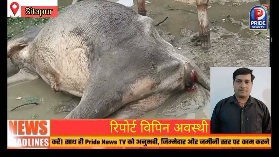 सीतापुर के महोली क्षेत्र में हुआ भीषण हादसा | #sitapurnews #upnews