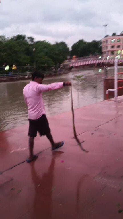 शाहजहांपुर हनुमत धाम पर निकला सांप
आपका अपना शहर Aapka Apna Shahar