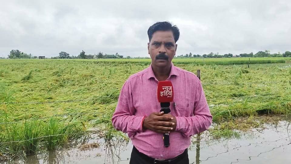 बदायूं में बरसात ने किसानों को किया बर्बाद, किसानों ने सरकार से मांगा मुआवजा