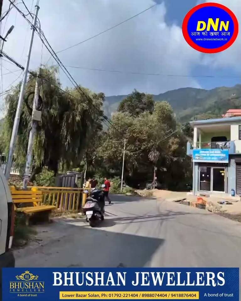 सोलन के स्नेक कैचर दिव्यांशु ने पकड़ा रसल वाइपर