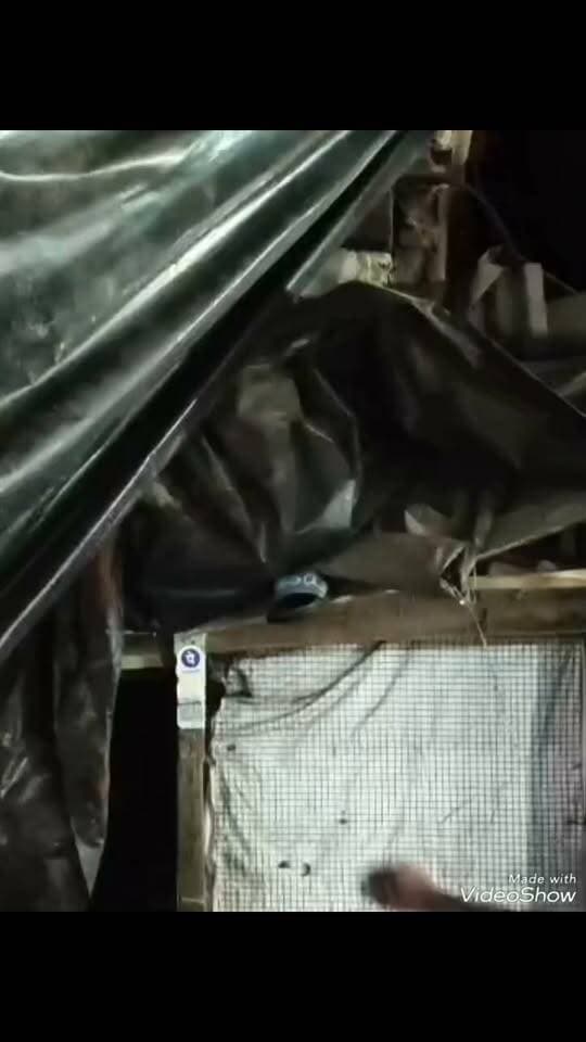 देवघर के आजाद चौक स्थित शीतला मंदिर के समीप हुआ बड़ा हादसा, जर्जर मकान भरभरा कर गिरा, बाल बाल बचे लोग
देवघर के आजाद चौक स्थित शीतला मंदिर के समीप रविवार के देर रात को एक बड़ा हादसा हुआ जहां एक जर्जर मकान भरभरा कर गिर गया। हालांकि गनीमत रहे की घटना देर रात को हुई और उस समय सड़क पर आवाजाही काफी कम थी जिससे बड़ा हादसा टल गया, बताया गया कि मकान के नीचे दो दुकान भी संचालित होती हैं ।घटना को लेकर आसपास में अफरातफरी मच गई।