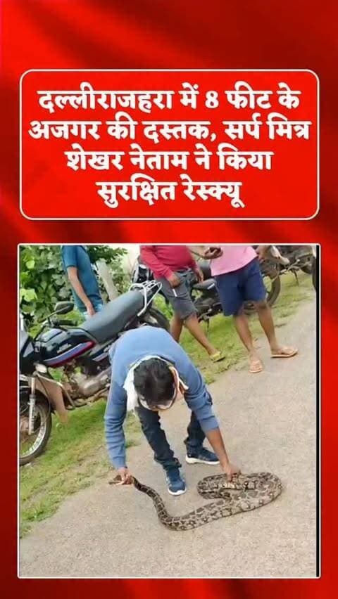 बालोद ब्रेकिंग
इंडियन ऑयल कॉरपोरेशन लिमिटेड दल्लीराजहरा वार्ड नम्बर 02 कोंकण रोड पर घुसा 8 फिट का अजगर ,अजगर को देख लोगों ने सर्प मित्र शेखर नेताम को फोन पर सूचना देकर बुलाया ,मौके पर पहुँचे सर्प मित्र शेखर नेताम ने अजगर का सुरक्षित रेस्क्यू करके जंगल मे छोड़ा ,सर्प मित्र शेखर नेताम अब तक सैकड़ो सर्प को सुरक्षित पकड़ कर जंगल मे छोड़ चुके है
#animelover #snake #animals #update #rescue