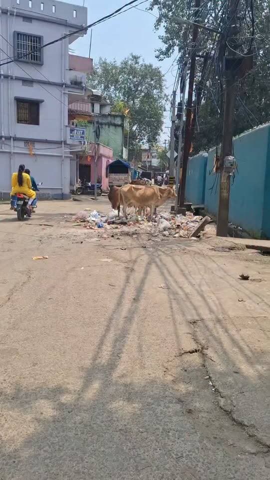 ହେଦେରେ ପିଲେ
ଆଉ କେଭେ ସୁଧାରବ ହୋ
