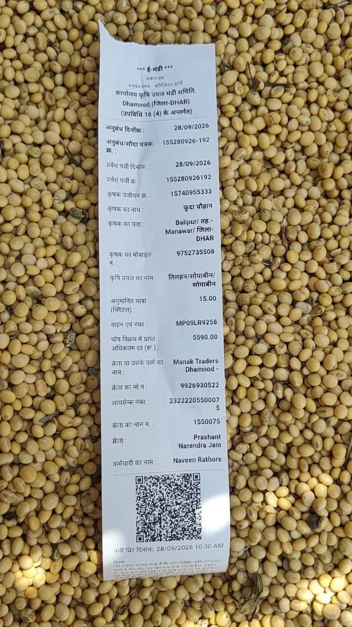 आज धामनोद मंडी में सोयाबीन 4800 से लेकर 5590 तक क्वालिटी अनुसार बिका
Dhamnod Mandi Bhav - धामनोद मंडी भाव #dhamnodmandibhav #MandiNewsToday #MandiNews #soyabinmandibhav #soyabinrates #soyabinmandi #soyabinkabhav