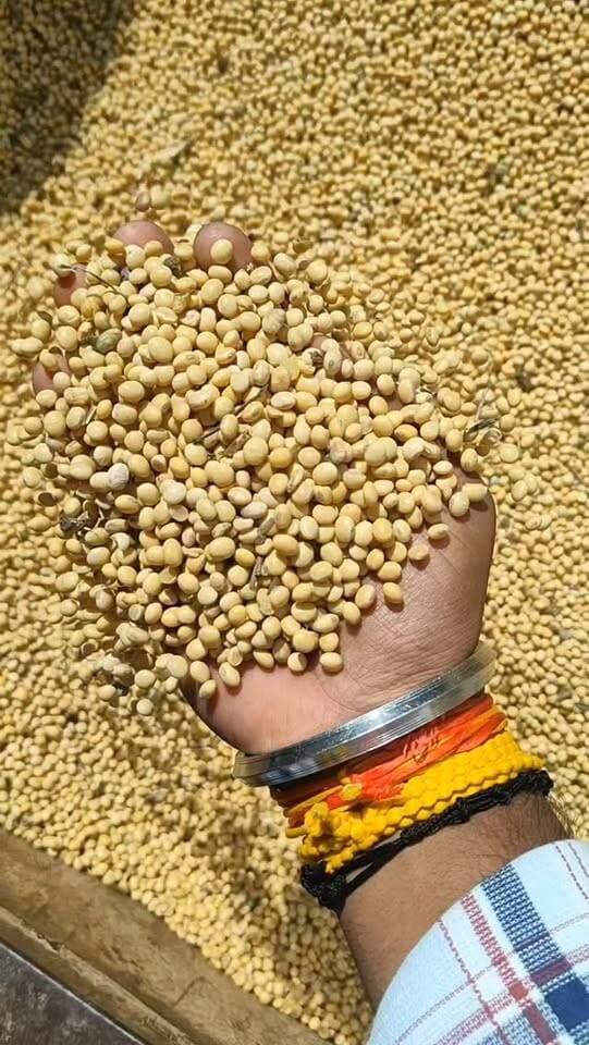 आज सोयाबीन के बाजारों में भी तेजी देखने मिला, धामनोद मंडी में आज सोयाबीन 4800 से लेकर 5590 रुपए तक बिका
आज बैंकों की हड़ताल स्थगित होने के बाद मंडी तीनों दिन चालू रहेगी जिसके चलते सोयाबीन के कुछ वाहनों की आवत हुई
28 सितंबर 2026
Dhamnod Mandi Bhav
.
.
.
.
.
.
.
.
.
.
.
.
.
.
.
.
.
#dhamnodmandibhav #soyabinmandi #soyabinmandibhav #soyabinkabhav #mandinews