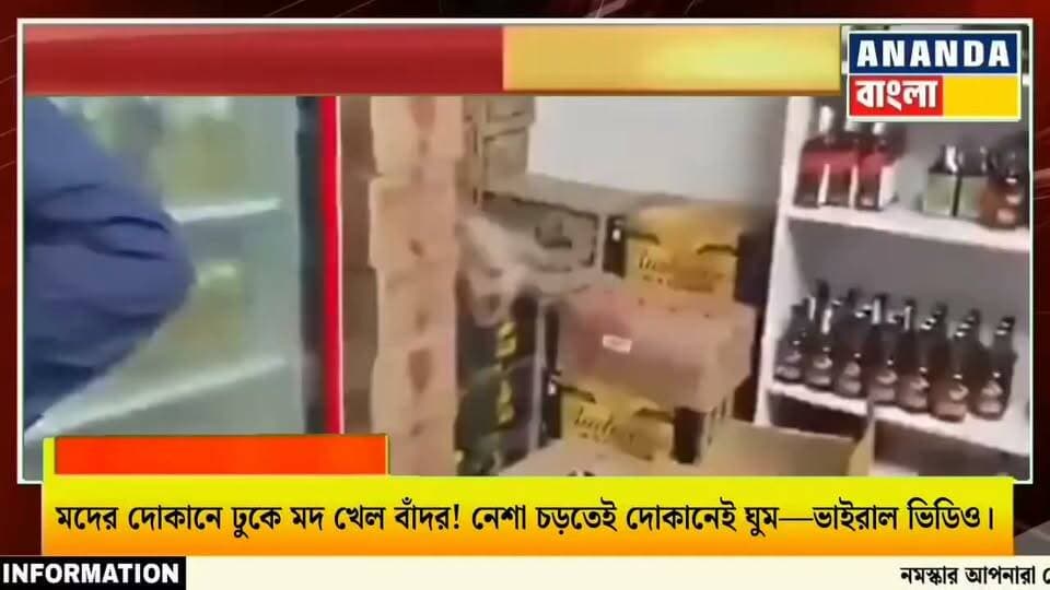 মদের দোকানে ঢুকে ম*দ খেল বাঁদর! নে*শা চড়তেই দোকানেই ঘুম—ভাইরাল ভিডিও।
#MonkeyVideo #ViralVideo #MonkeyDrinking #FunnyVideo #ViralNews