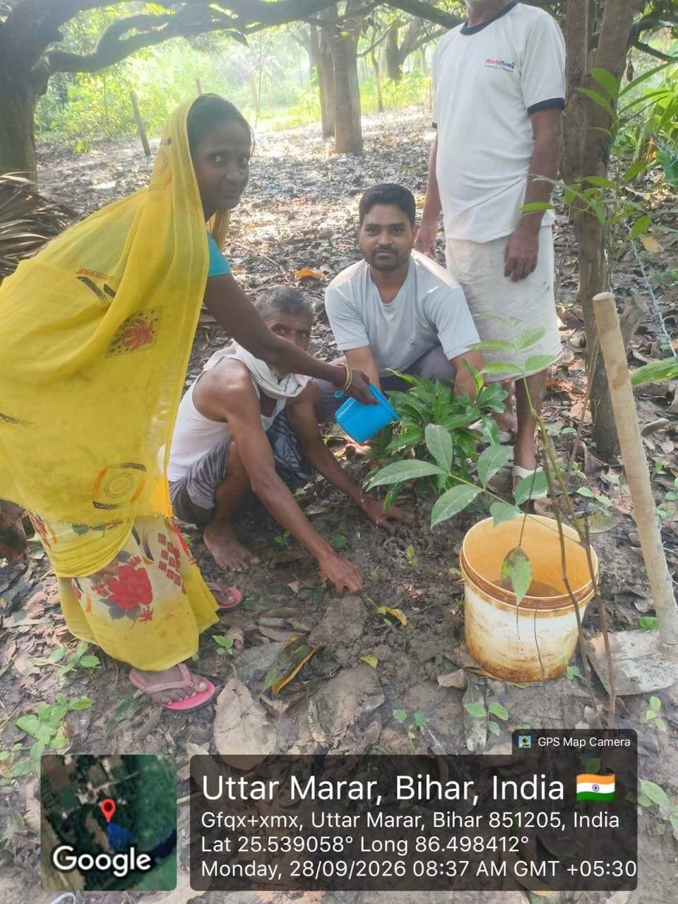 खगड़िया सदर प्रखंड अंतर्गत विभिन्न पंचायतों में "स्वच्छता ही सेवा 2026"कार्यक्रम के विषय -"स्वच्छता से समृद्धि" के तहत "पौधा रोपण" एवं सार्वजनिक स्थानों पर "विशेष सफाई अभियान" चलाया जा रहा हैं।।