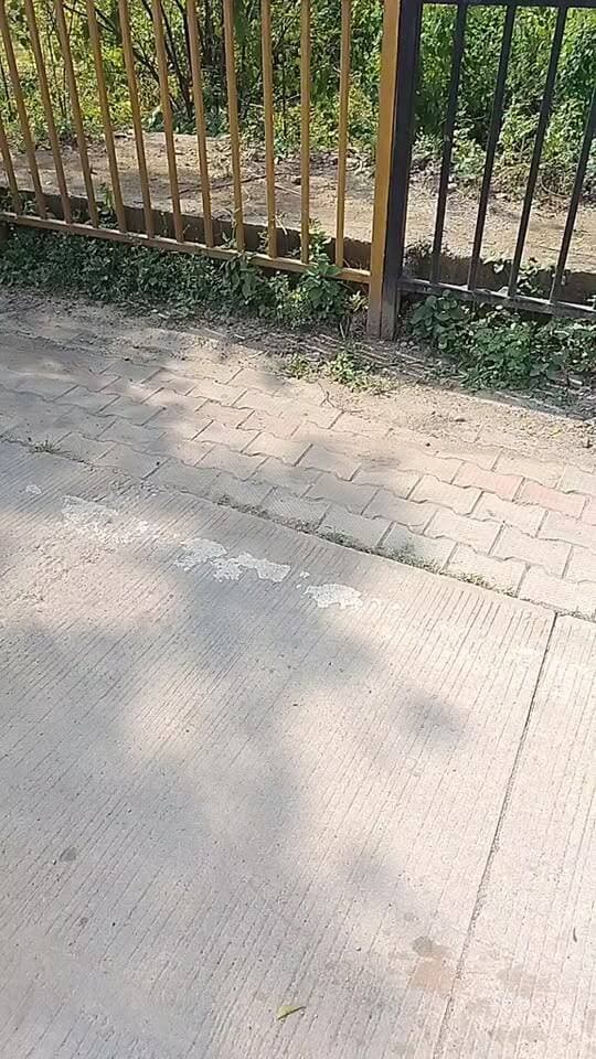 रीवा NSUI का APSU घेराव पुलिस ने वैरिकेट लगाकर रोका