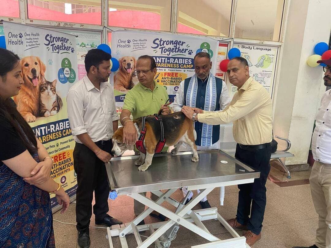 विश्व रेबीज दिवस पर पंचकूला में निःशुल्क एंटी-रेबीज टीकाकरण शिविर, 250 से अधिक पशुओं का हुआ टीकाकरण
स्ट्रॉन्गर टुगेदर’ थीम के तहत आयोजित किया गया रेबीज जागरूकता एवं टीकाकरण शिविर
पंचकूला 28 सितंबर : विश्व रेबीज दिवस के अवसर पर आज पेट एनिमल मेडिकल सेंटर (पीएएमसी), सेक्टर-3, पंचकूला में निःशुल्क एंटी-रेबीज टीकाकरण शिविर का आयोजन किया गया। शिविर का आयोजन प्रातः 8:00 बजे से दोपहर 03:00 बजे तक किया गया, जिसमें 250 से भी अधिक पालतू एवं आवारा पशुओं को निःशुल्क एंटी-रेबीज टीकाकरण किया गया।
हरियाणा शिवालिक विकास बोर्ड के कार्यकारी उपाध्यक्ष श्री ओम प्रकाश देवीनगर ने
रिबन काट कर शिविर का शुभारंभ किया।
यह शिविर इस वर्ष की आधिकारिक वैश्विक विश्व रेबीज दिवस थीम “स्ट्रॉंगर टुगेदर” के अनुरूप आयोजित किया गया, जो रेबीज की रोकथाम एवं उन्मूलन के लिए सामूहिक एवं समन्वित प्रयासों के महत्व को रेखांकित करती है। यह थीम विशेष रूप से “वन हेल्थ” दृष्टिकोण पर जोर देती है, जिसके तहत रेबीज जैसी ज़ूनोटिक (पशुओं से मनुष्यों में फैलने वाली) बीमारियों की रोकथाम और नियंत्रण के लिए मानव स्वास्थ्य, पशु चिकित्सा और अन्य संबंधित विभाग एक साथ मिलकर काम करते हैं।
शिविर के बारे में जानकारी देते हुए उप निदेशक-सह-प्रभारी अधिकारी, पेट एनिमल मेडिकल सेंटर, पंचकूला, डॉ. रणजीत सिंह जादौन ने बताया कि रेबीज एक घातक लेकिन रोकथाम योग्य जूनोटिक बीमारी है तथा कुत्तों और बिल्लियों का नियमित टीकाकरण इसके संक्रमण की रोकथाम के लिए सबसे महत्वपूर्ण उपायों में से एक है।
रेबीज मुख्य रूप से संक्रमित पशु के काटने अथवा उसकी लार के संपर्क में आने से फैलता है। एक बार लक्षण दिखाई देने के बाद यह बीमारी लगभग जानलेवा हो जाती है । हालांकि, समय पर टीकाकरण, जिम्मेदार पालतू पशु पालन, पशु के काटने की घटनाओं का उचित प्रबंधन तथा संपर्क में आए व्यक्तियों के लिए तत्काल संपर्क-पश्चात प्रोफिलैक्सिस उपलब्ध करवाकर रेबीज से पूरी तरह बचाव किया जा सकता है।
शिविर के दौरान 250 से अधिक पालतू एवं आवारा पशुओं का निःशुल्क एंटी-रेबीज टीकाकरण किया गया। साथ ही 300 से भी अधिक लोगों को रैबीज और उस जैसी अन्य घातक बीमारियों जैसे कि पार्वो वायरस, डिस्टेंपर वायरस से बचाव और रोकथाम के बारे में अवगत कराया गया ।