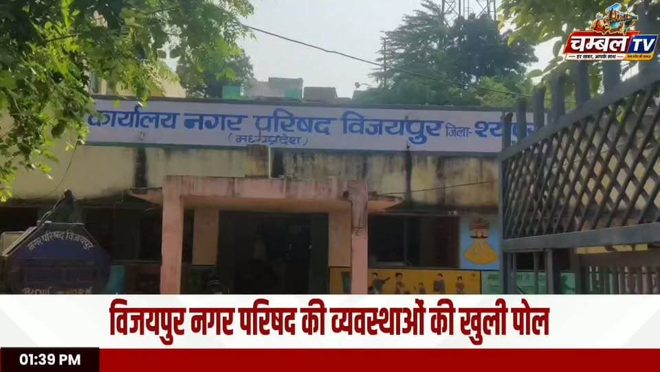 विजयपुर नगर परिषद की खुली पोल! अपने ही भवन में भरा गंदा पानी और कीचड़ | ChambalTV
#Vijaypur #Sheopur #NagarParishad #SheopurNews #VijaypurNews #MPNews #GroundReport #LocalNews #MadhyaPradesh #NewsUpdate #ChambalTV